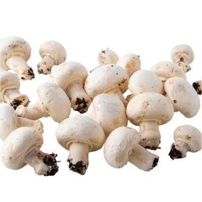 Шампиньоны свежие 500 г - купить в Большом Серманангере